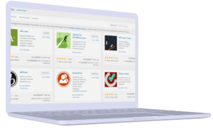 wordpress plugin development company